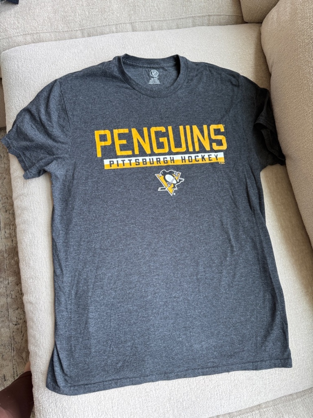 Pittsburgh Penguins Gray Graphic T-Shirt
